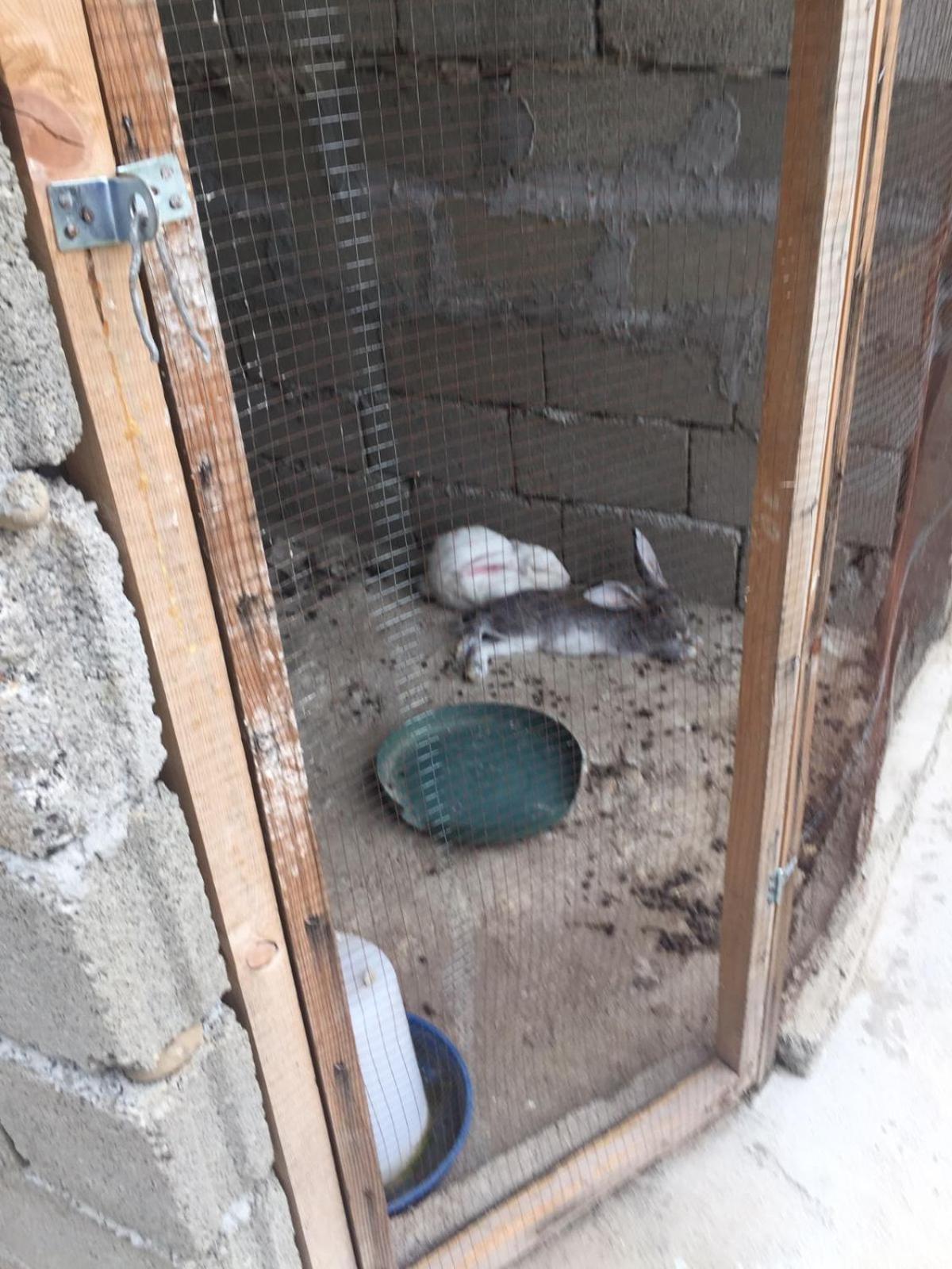 Mera Hostel Partskhanaqanevi Екстериор снимка