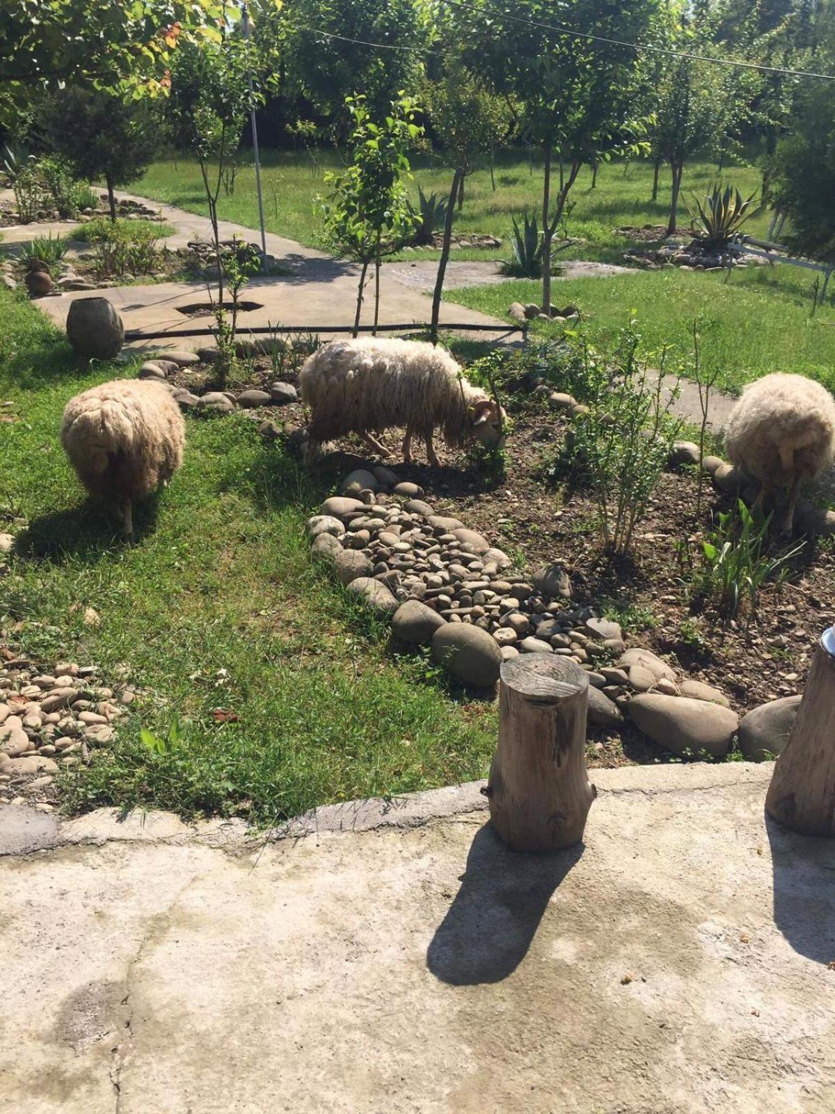 Mera Hostel Partskhanaqanevi Екстериор снимка